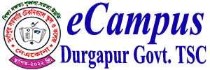 eCampue Durgapur TSC